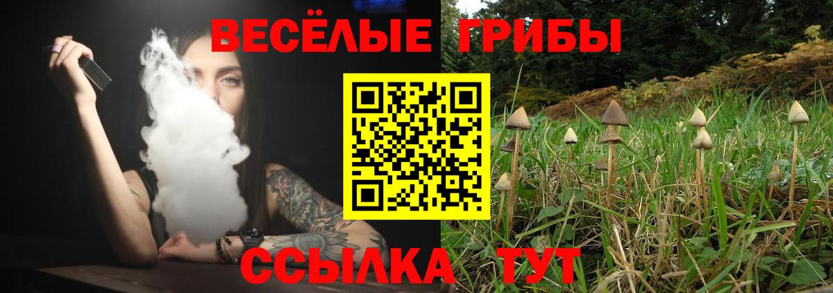 Псилоцибиновые грибы Psilocybine cubensis Советский